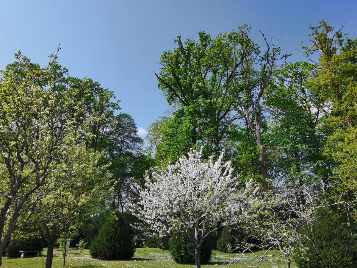 Chateau De Brinville Saint-Sauveur-sur-Ecole 外观 照片