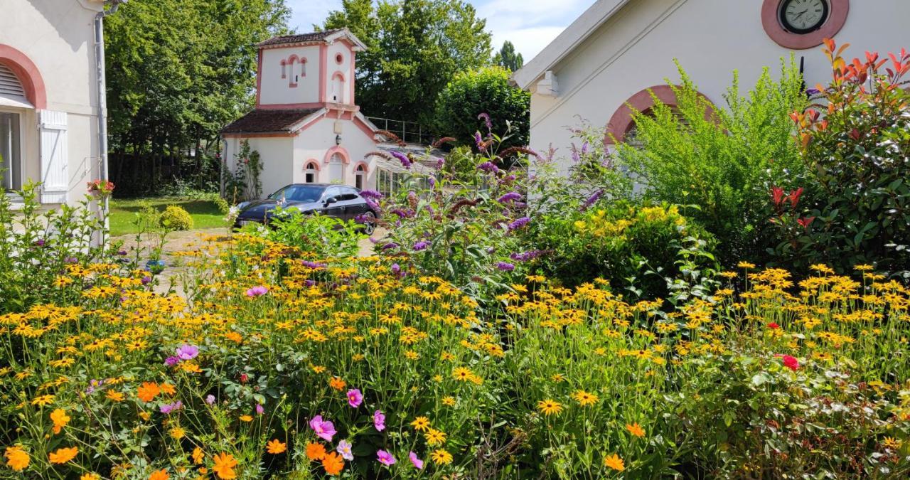 Chateau De Brinville Saint-Sauveur-sur-Ecole 外观 照片