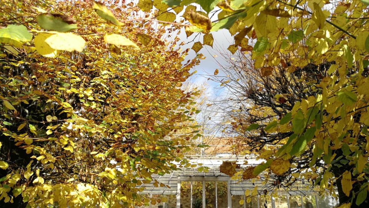 Chateau De Brinville Saint-Sauveur-sur-Ecole 外观 照片