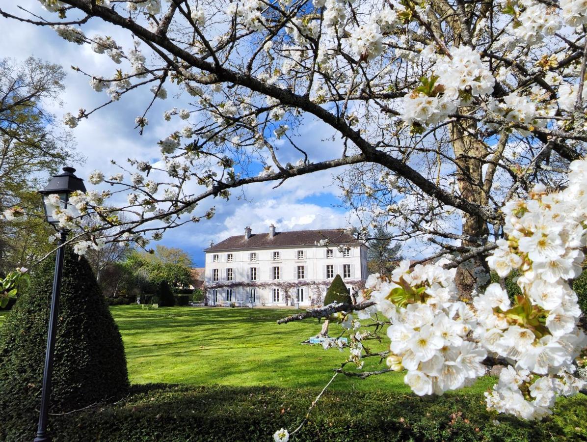 Chateau De Brinville Saint-Sauveur-sur-Ecole 外观 照片