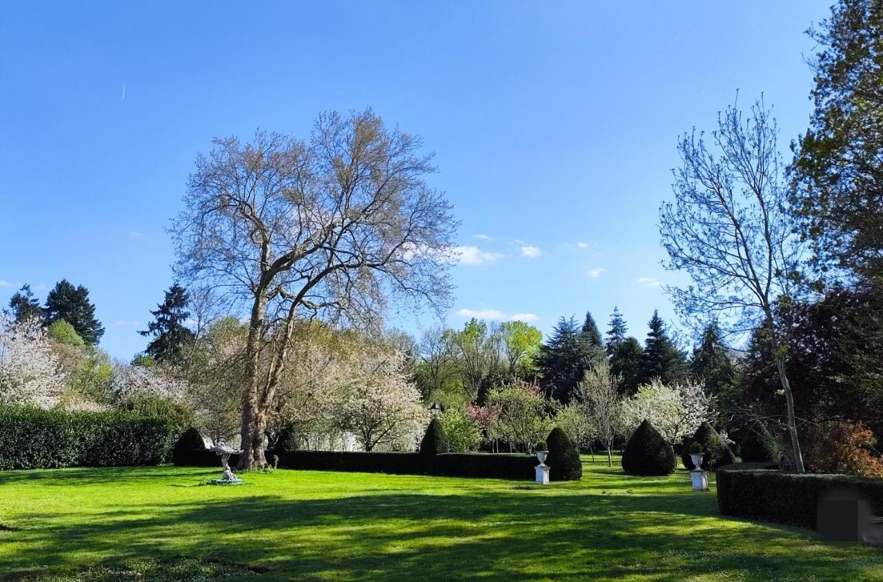 Chateau De Brinville Saint-Sauveur-sur-Ecole 外观 照片