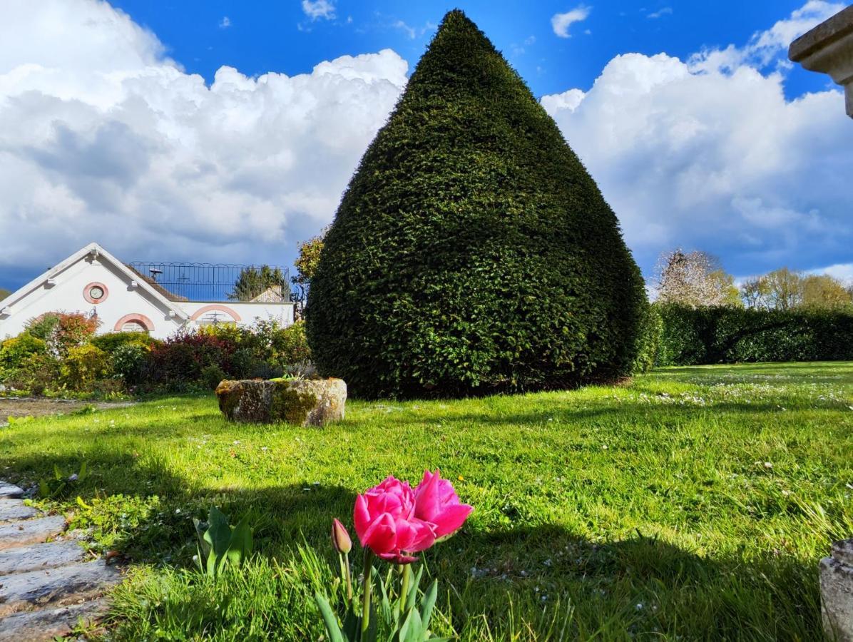 Chateau De Brinville Saint-Sauveur-sur-Ecole 外观 照片